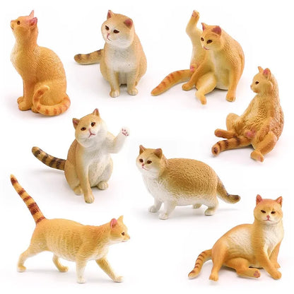 The Cat Tribe