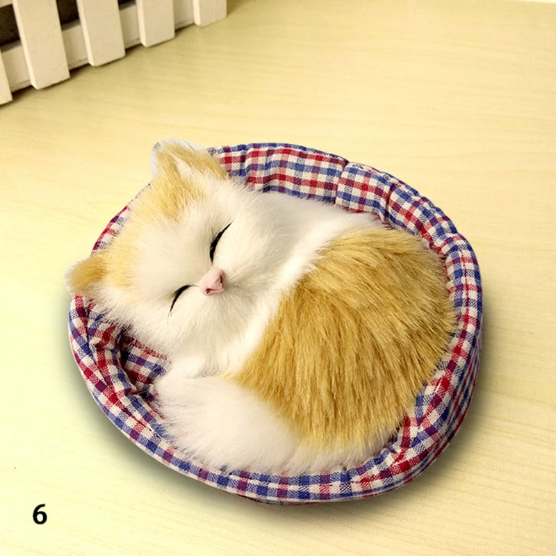 Sleeping Cuties