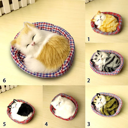 Sleeping Cuties
