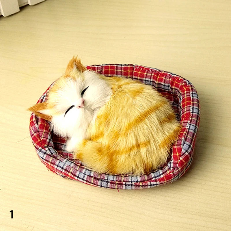 Sleeping Cuties