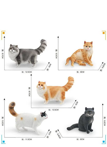 Cattitude Crew