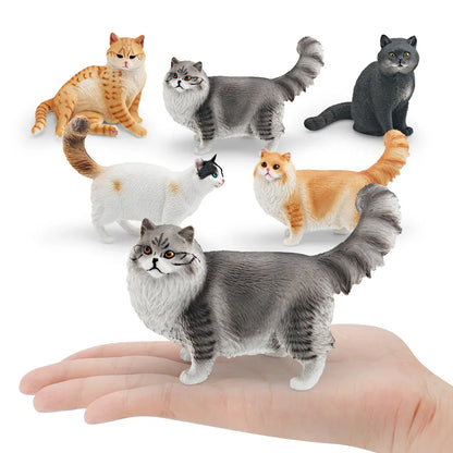 Cattitude Crew