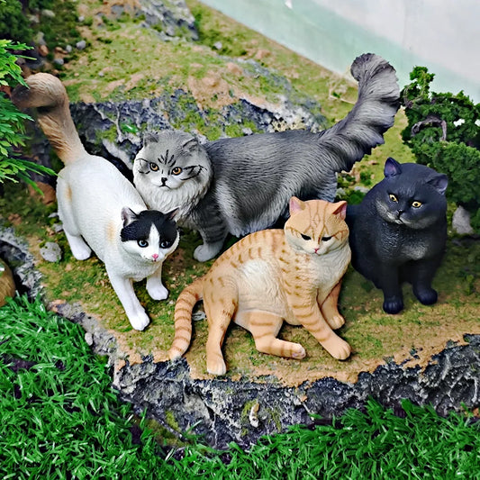 Cattitude Crew